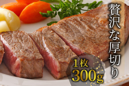 最高5等級 飛騨牛 厚切りロースステーキ 1.5kg 300g×5枚 牛肉 100000円