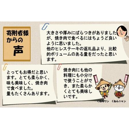 ふるさと納税 佐賀牛ヒレ焼き肉用600g (H065139) 佐賀県神埼市