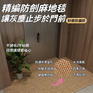 優選好物🎁防貓抓日式地毯 貓咪防抓地毯 仿劍麻地毯 寵物地毯 耐磨地毯 巨無霸貓地墊 加厚防滑地毯 客廳地毯 玄關地墊
