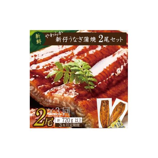 ふるさと納税 茨城県 行方市 AD-91　やわらか新仔うなぎ蒲焼120〜140ｇ　2尾×3回　計720ｇ以上