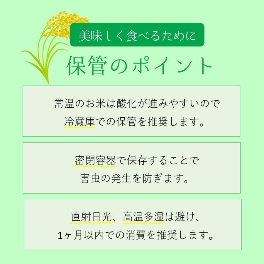 令和5年産 雪若丸 つや姫 2kgセット(4kg) 山形県産 米 お米