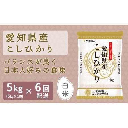 ふるさと納税 愛知県産コシヒカリ 5kg ※定期便6回 安心安全なヤマトライス H074-552 愛知県碧南市