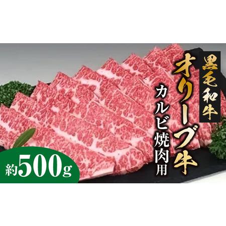 ふるさと納税 黒毛和牛オリーブ牛 カルビ焼肉用 約500ｇ_M18-0011 香川県三豊市