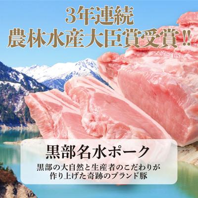 ふるさと納税 黒部市 黒部名水ポーク入り水餃子(10個入り×5袋)