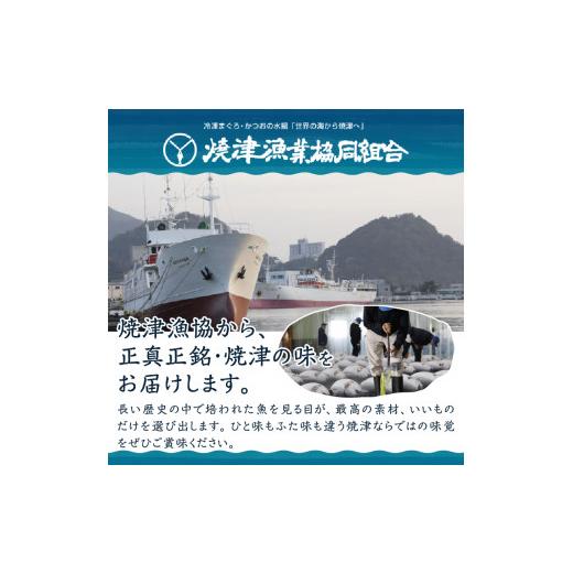 ふるさと納税 静岡県 焼津市 a31-011　焼津ミナミマグロスキンレスセット