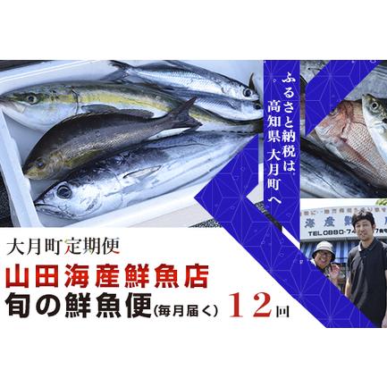 ふるさと納税 山田さんちの「旬の鮮魚便」 計12回 高知県大月町