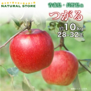 [予約 2023年10月1日-10月20日の納品] つがる 約 10kg 28-32玉 大玉 秋ギフト 津軽 りんご リンゴ ツガル 長野県 青森県