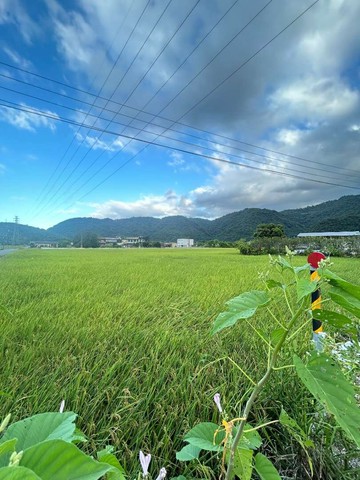 宜蘭三星大坪數休閒農地+甲建(有合法建物)｜宜蘭縣三星鄉大坑段