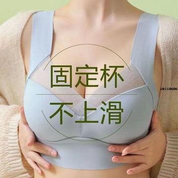 【兩件裝】內衣女夏天薄款聚攏防下垂收副乳上托性感薄款文胸大胸內衣顯胸小 vk