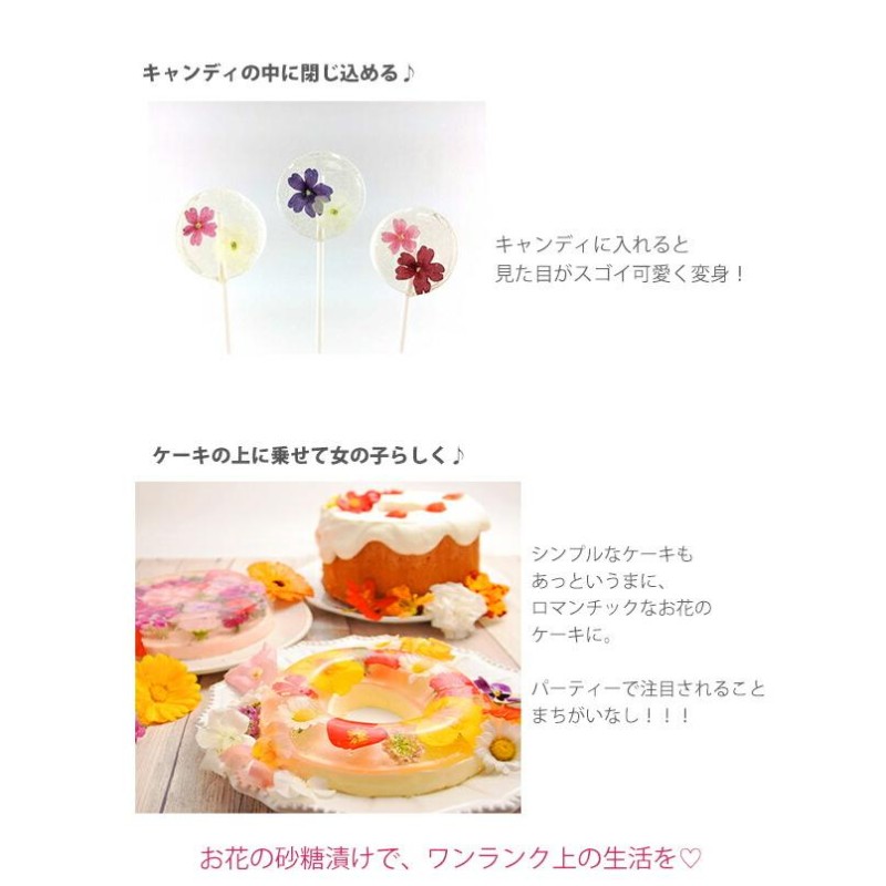 デメル本店 スミレの砂糖漬け DEMEL-