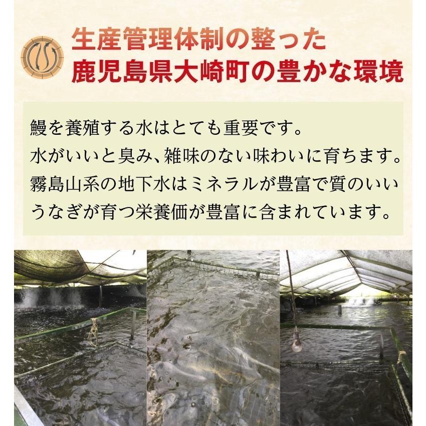 父の日 プレゼント ギフト うなぎ  食べ物 国産 鹿児島産 ブランド鰻 特大・カット・きざみ蒲焼き 3種セット 送料無料 60代 クール