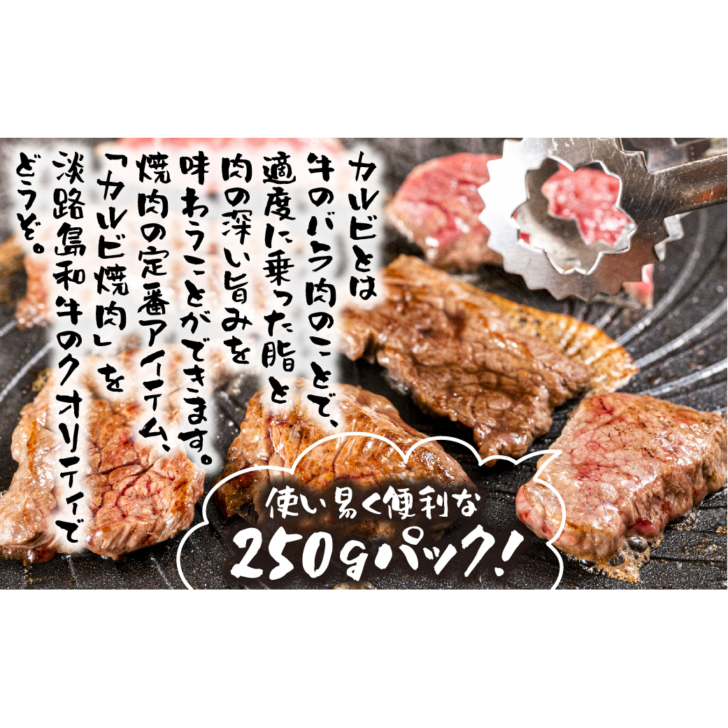 淡路島和牛 カルビ焼肉用 500g 約250ｇ×2パック