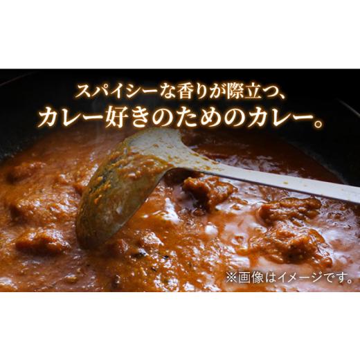 ふるさと納税 長崎県 平戸市 平戸ビーフカレー 計60食（10食×6回）「中辛」平戸市 ／ カレー工房 NVfoods [KAB191]