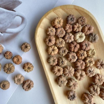 ⭐⭐【小桔瓜】小南瓜乾果實森系手工diy乾花材料 手鍊耳飾植物果子