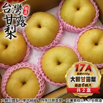 【天天果園】東勢17A大顆甘露梨6入禮盒ｘ2盒(每顆約600g)