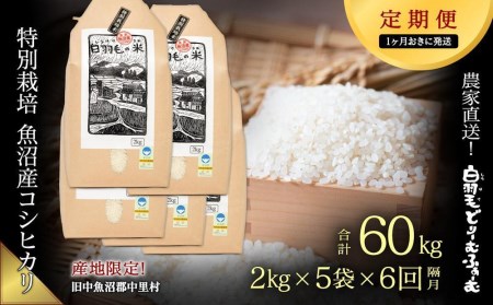 ≪令和5年産≫農家直送！魚沼産コシヒカリ　特別栽培「白羽毛の米」精米(2kg×5袋)×6回 60kg