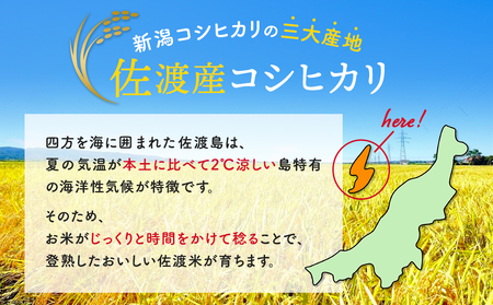 佐渡羽茂産コシヒカリ そのまんま真空パック 900g×6袋セット