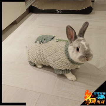 【台灣出貨】寵物衣服 小型犬可牽引衣服 兔子衣服 小寵針織背心 狗狗衣服 貓咪衣服 寵物侏儒背心 垂耳兔奶貓奶狗馬甲