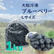 遠野で育った 大粒 冷凍 ブルーベリー Lサイズ 1kg