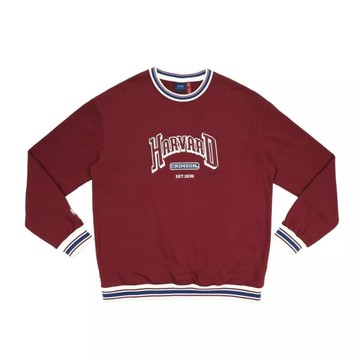 NCAA 大學T 酒紅 像素風 復古圓領 中性 7555100240