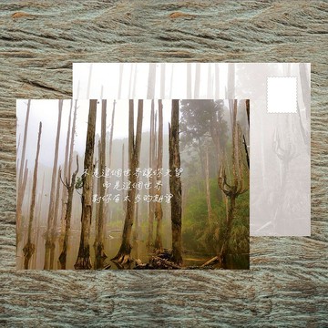 N0.B30明信片 / 對你的期望 / 任選買10送1