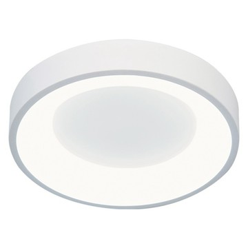 DANCELIGHT 舞光 嫦娥壁切吸頂燈 自然光 24W 4000k D-CEC24NSW  時尚白