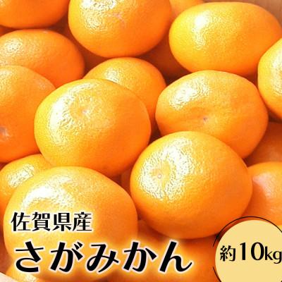 ふるさと納税 鳥栖市 柑橘の名産地 佐賀産さがみかん約10kg箱(鳥栖市)