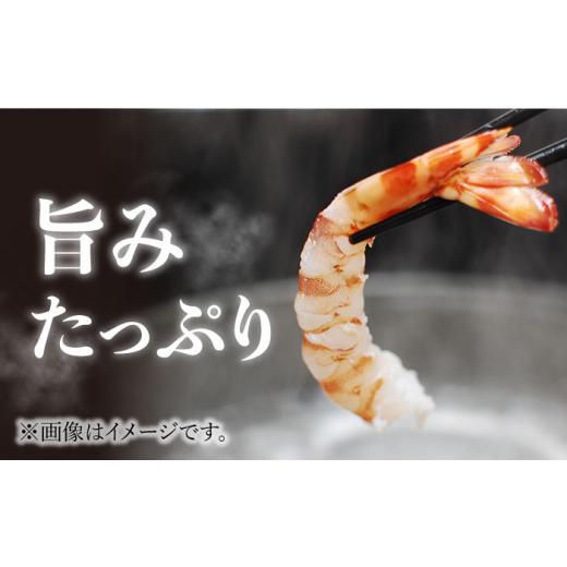 ふるさと納税 長崎県 五島市 五島特産 ボイル 車海老 エビ 尾付き むきえび 500g (250g×2P) 五島市／拓水 五島事業場 [PCU004]