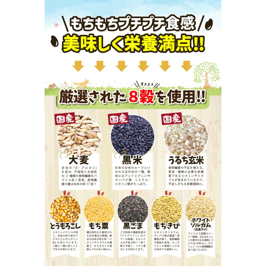 八穀ごはん 600g×1袋 業務用 雑穀米 送料無料 あすつく ポスト投函