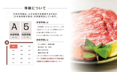 A5等級黒毛和牛 赤身スライス 計400g（200g×2P） 牛肉 赤身 すき焼き しゃぶしゃぶ 小分け 冷凍 カミチク