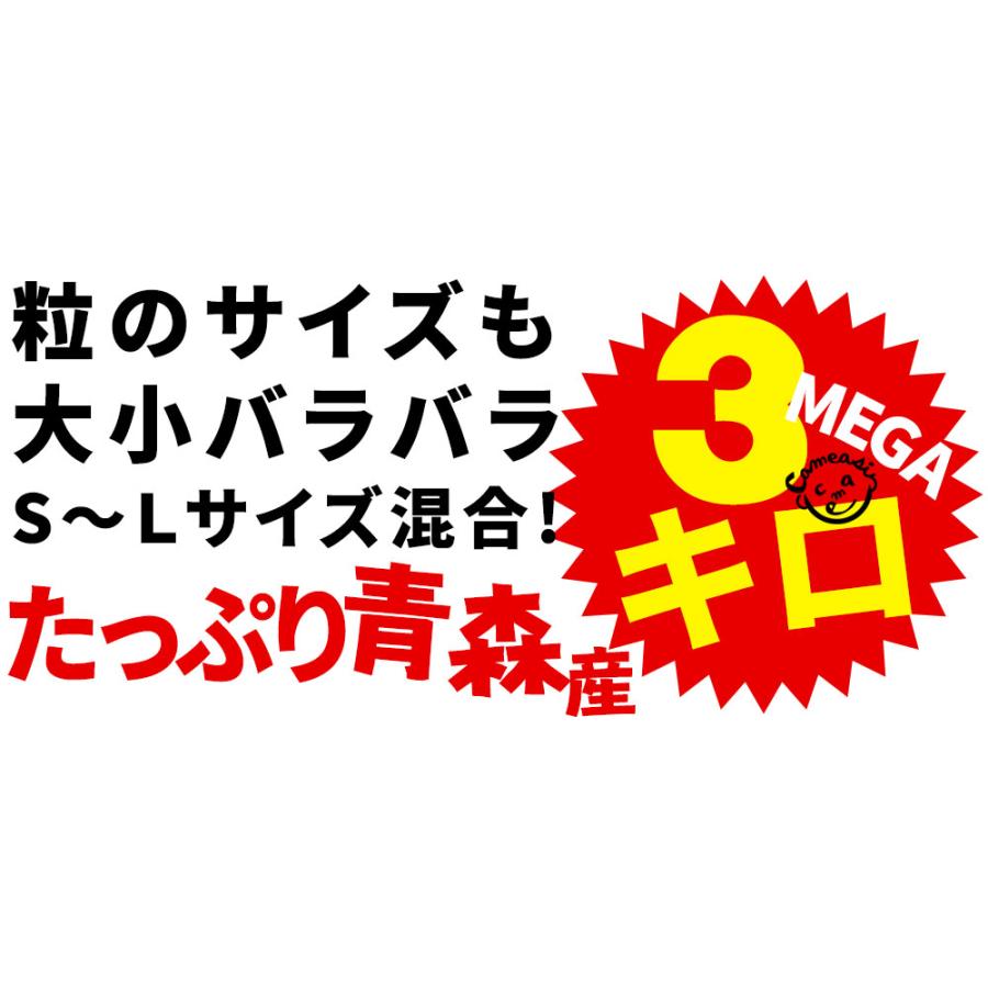 にんにく 青森県産 訳あり 3kg バラ詰め 送料無料 2023年度産 [産地直送のため他商品と同梱不可]