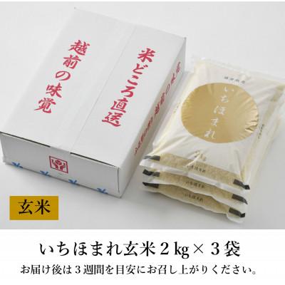 ふるさと納税 あわら市 いちほまれ 玄米 2kg×3袋(計6kg)《新鮮な高品質米をお届け!》