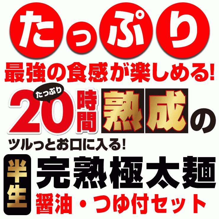 20時間熟成  半生 極太 讃岐うどん つゆ付きセット 便利な個包装 750g 送料無料 最安値挑戦 得トクセール 特産品