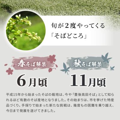 ふるさと納税 豊後高田市 R5秋新そば 豊後高田なまそば(100g×8食・つゆ付)