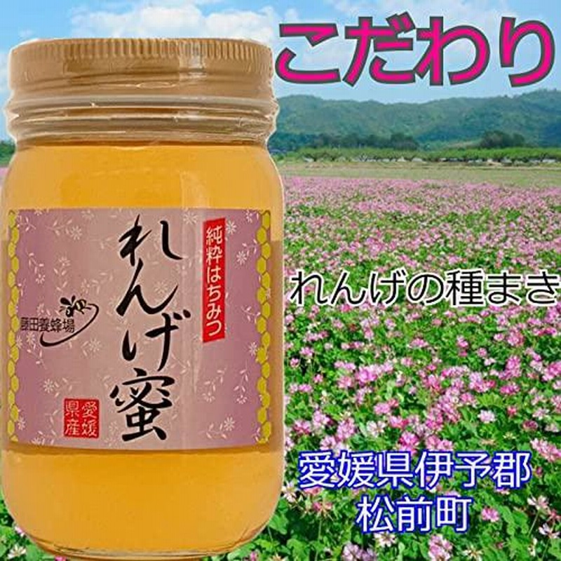 はちみつ れんげ 蜂蜜2400g 2個セット - 調味料、スパイス