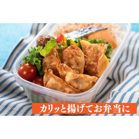 ふるさと納税 ZG138.福岡・博多の味『博多一口餃子』８０個入（４０個入×２Ｐ） 福岡県新宮町