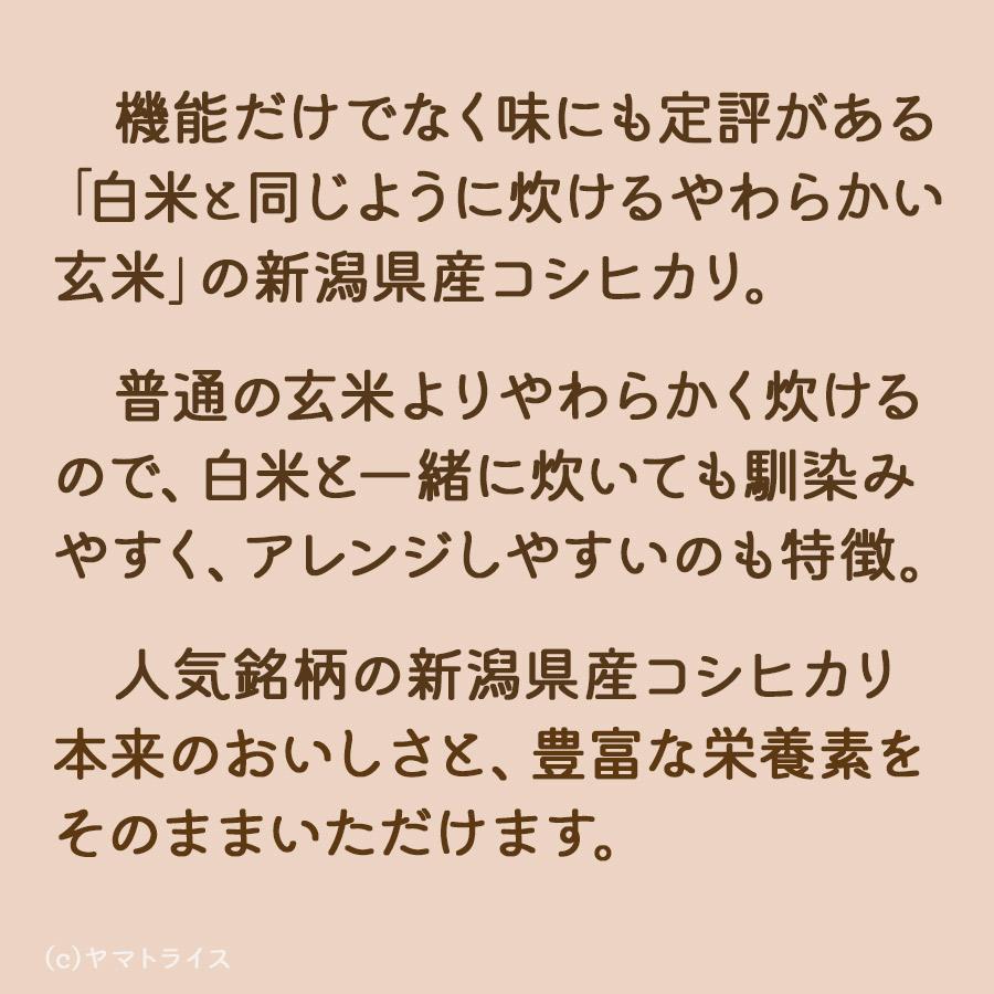 ヤマトライス 白米と同じように炊けるやわらかい玄米 新潟県産 コシヒカリ 900g