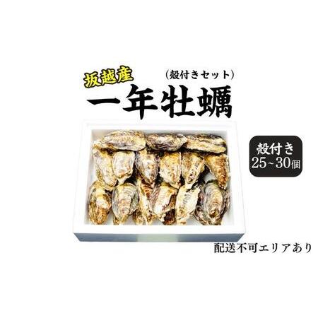 ふるさと納税  牡蠣 坂越かき 殻付き (25個〜30個) 冬牡蠣 兵庫県赤穂市