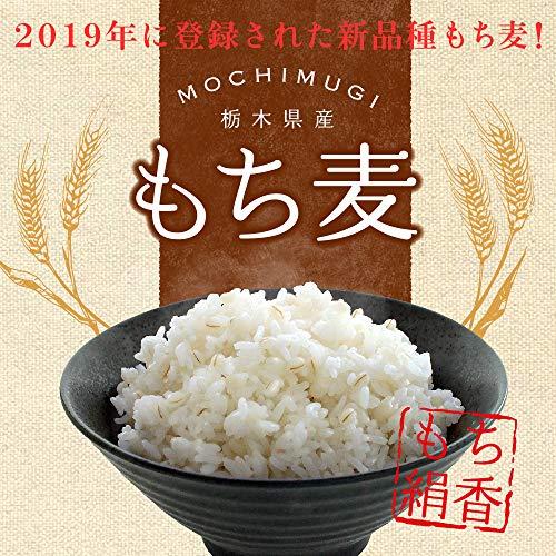 もち麦 国産 900g×6袋 栃木県産 もち絹香 雑穀 チャック付