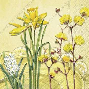德國 IHR-33*33cm餐巾紙-南茜黃