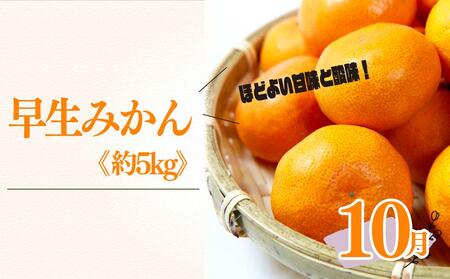 定期便3回（8月・9月・10月） 有田川町の旬のフルーツをお届け！