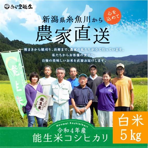 新米 令和５年 米 お米 10kg 5kg×2 新潟 コシヒカリ 白米 精米 農家直送 糸魚川 能生米 送料無料