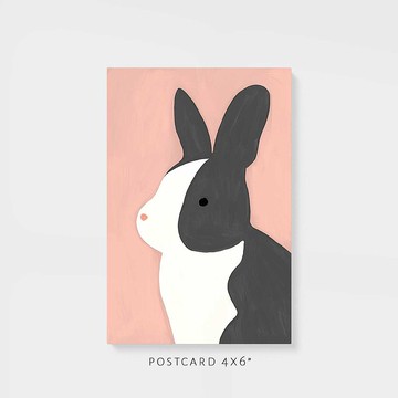 明信片 | 兔子