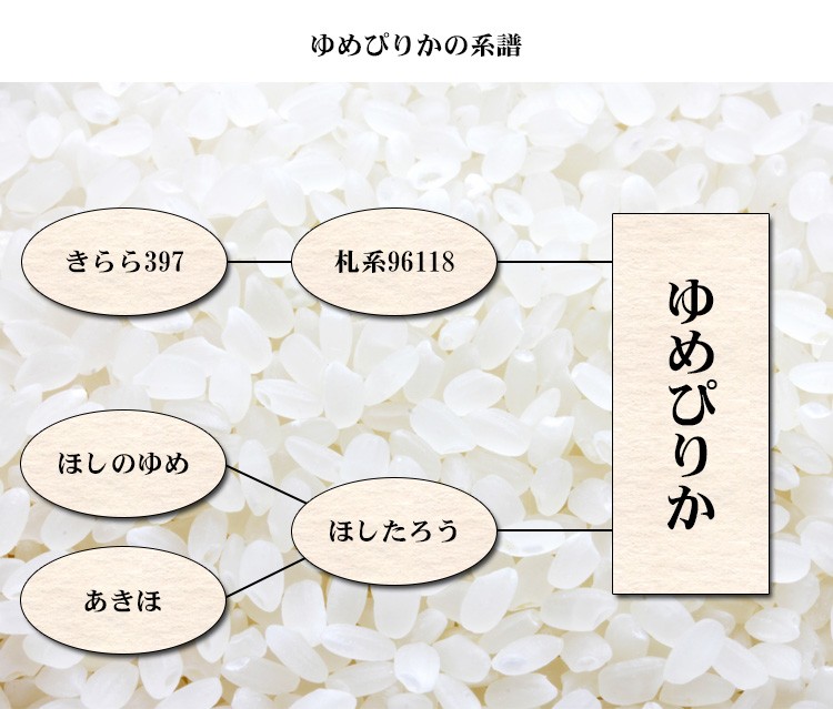 新米 米 白米 または 玄米 2kg ゆめぴりか 北海道産 令和5年産 1等米 ゆめぴりか お米 2キロ  安い