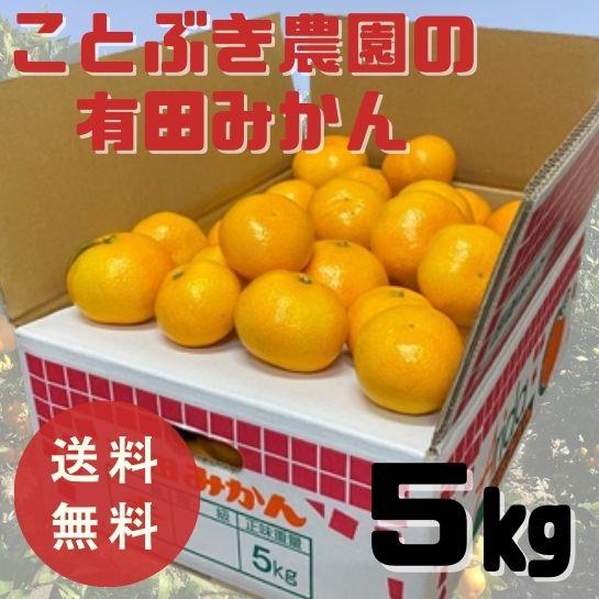 ことぶきみかん 5kg　サイズ混合（S〜L）