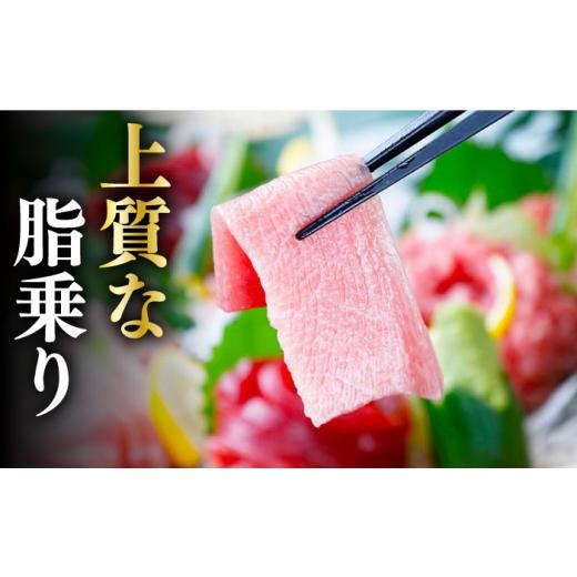 ふるさと納税 長崎県 対馬市 対馬産 養殖 本マグロ 4種 （赤身×2／中トロ×2／ネギトロ×2／大トロ×1）《対馬市》 新鮮 マグロ 鮪 …