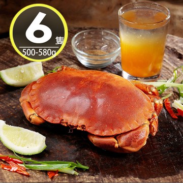【華得水產】英國野生爆卵麵包蟹6隻(500-580g/隻)