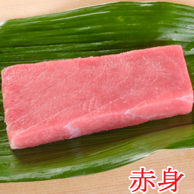 厳選本マグロ赤身、中トロ食べくらべ