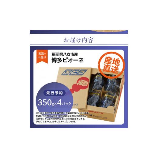 ふるさと納税 福岡県 八女市 博多ピオーネ（350g×4パック）｜7月上旬〜8月上旬頃発送予定