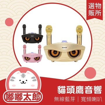 【領券折100】【嘟嘟太郎-台灣出貨】貓頭鷹音箱家庭 充電式雙人行動KTV貓頭鷹SDRD 行動KTV  無線藍芽麥克風卡拉OK 露營唱歌